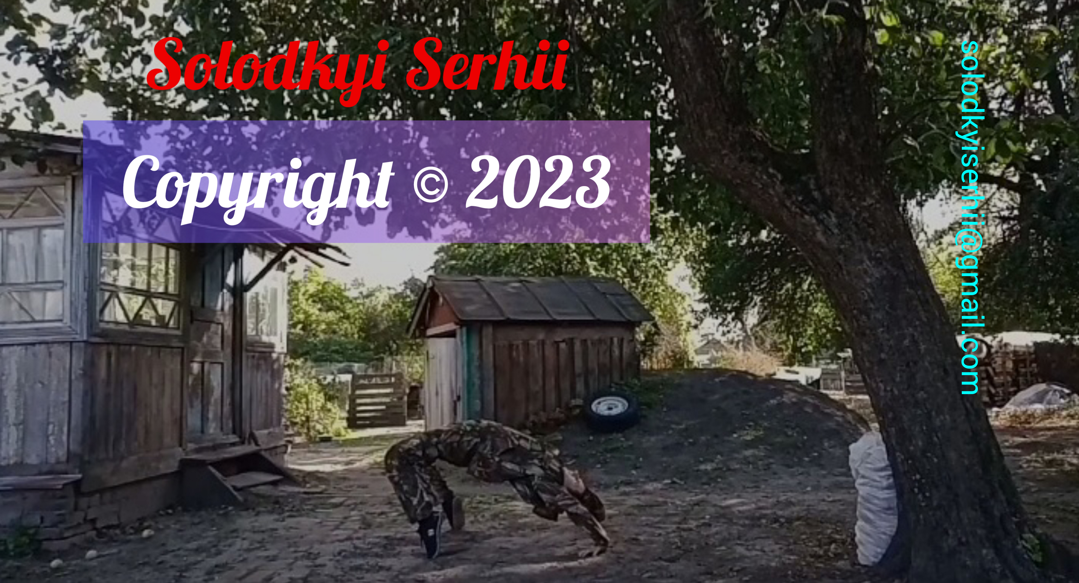 Фотография